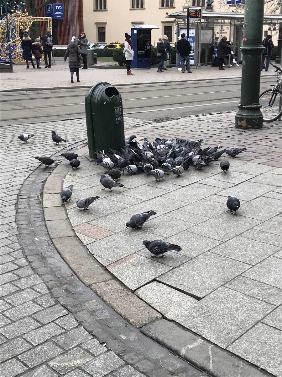DBCUTD's tweet photo. @tigergibbo We’re taking over 🐦 https://t.co/uDwSI5YlTP