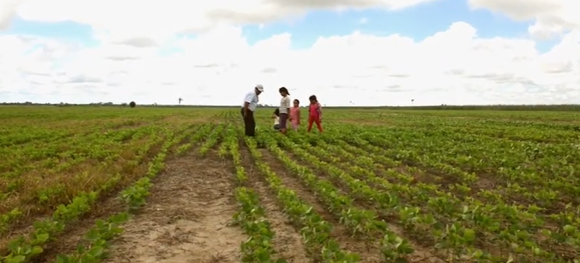 CCyJusticiaBoli's tweet photo. Mira aquí nuestro video "#Transgenicos: una mirada desde #Bolivia" (2016) para saber más sobre los efectos de transgénicos y #agroquímicos:
https://t.co/Ct8rLgOSBH
#NoTransgénicosEnBolivia 🌿💪 #BoliviaLibreDeTransgénicos #Bolivia #agricultura #alimentación #agroecología #DS4232 https://t.co/D5wV5cCb97