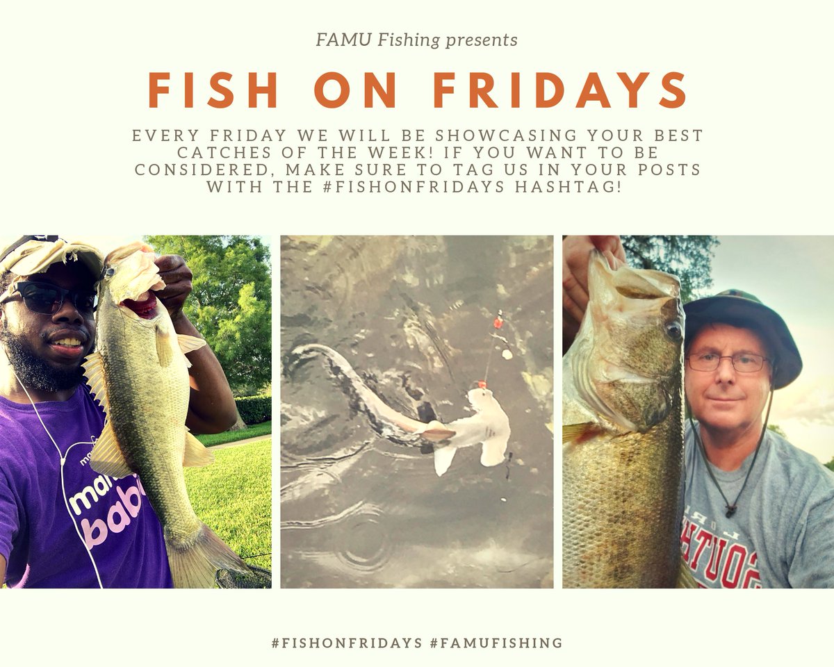 FamuFishing's tweet photo. Fish on Friday:  Here are some photos from this week's catches! 
#bassprotallahassee #basspro #bassprotally #tracker #trackerboats #FLW #bass #fishingleagueworldwide #fishing #FAMUfishingfamily #Famualumni #HBCU #Tallahassee #Florida #club #freshwater #FishonFridays #marching100 https://t.co/HUwfSEPmgd
