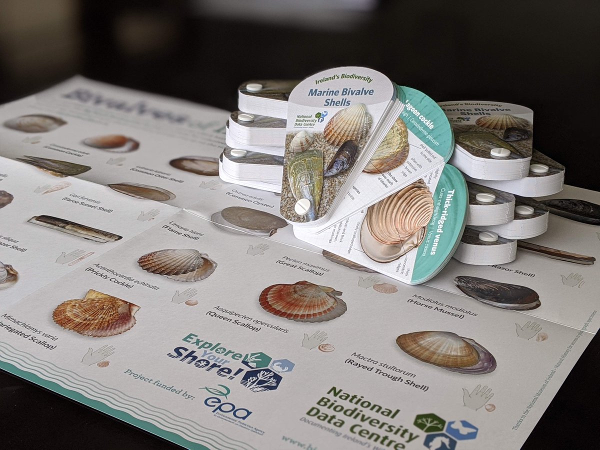 Yesterday we announced the release of our brand-new Marine Bivalve Shells swatch.🐚🌊 To celebrate its release we want to give away some swatches for 🆓!

Just 'Like' and 'Retweet' this tweet and you'll be entered into a draw - 3 lucky winners will be announced early next week!😃