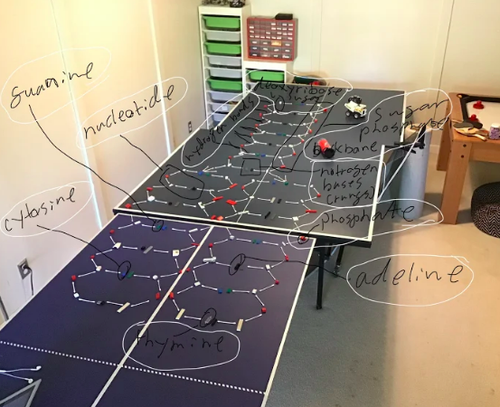 flinthillnews's tweet photo. Creativity must be in the DNA of our students — in a Life and Environmental Science class, eighth graders were assigned to make models demonstrating the structure of #DNA, using objects in their own homes. #MiddleSchool #science #biology #stem #ConnectedHuskies https://t.co/1kUkokq0xM