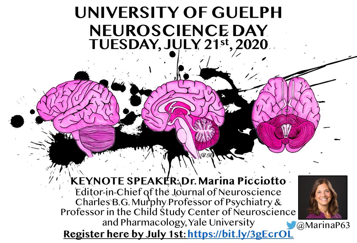 DrJKhokhar's tweet photo. The Annual @uofg Neuroscience Day has gone virtual! Featuring the amazing @MarinaP63 as the key-note speaker. Come see what Neuroscience at @uofg @UofGResearch is all about! Register before July 1st at https://t.co/eTmjDS4Gh0 https://t.co/DqgVO0WNnz
