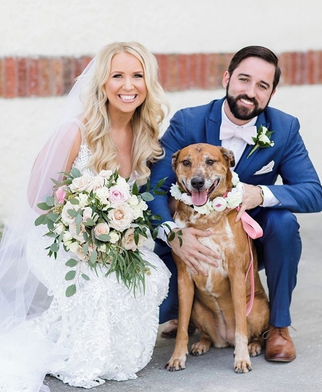 On today's episode of "The Real Wedding Pups of Menguin,"... 🐶 (Repost from sweet girl Nala the Ridge, Photography: Brittany Pannebaker Photo) #menguin #TheLyon
