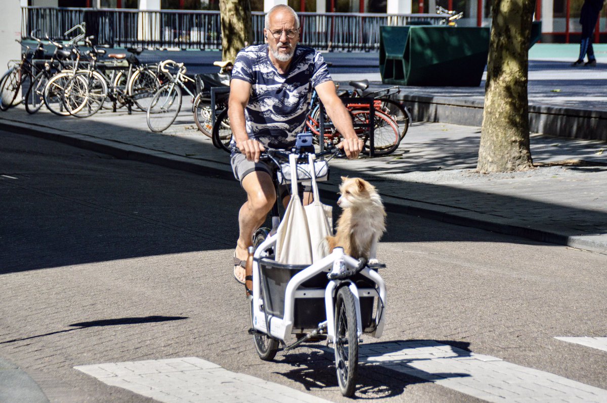 modacitylife's tweet image. Fietsgeluk (“bicycle happiness”) is a concept rising in prominence among Dutch planners and policy makers.

It reflects the growing realization that transport has emotional, sensory and social qualities engineers have ignored for decades.

What does #bicyclehappiness mean to you?