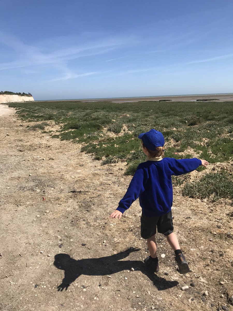 lucylucyrogers's tweet photo. Think someone is missing school @HBInfantSchool #alldressedupandnowheretogo #halftermfun #pegwellbaycountrypark #6yearsold #thoselittlegingers https://t.co/h1Q6zfyxFs