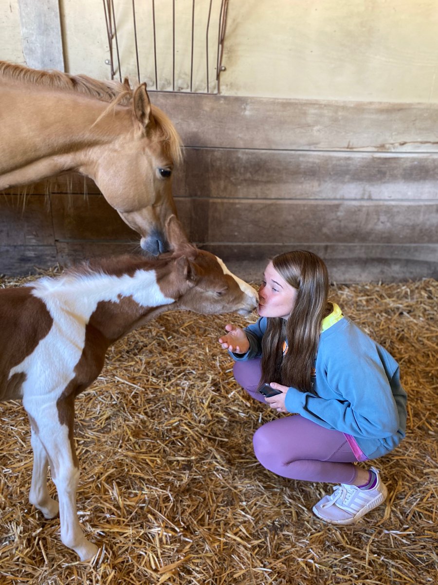 carolinaedgevb's tweet photo. Spotlight #3 on Allie Wilkerson 15U! 

What have you been doing during the quarantine? 

During quarantine I have been working out, tanning, reducing animals, swimming, and going on fun adventures. https://t.co/2QnEje6C30