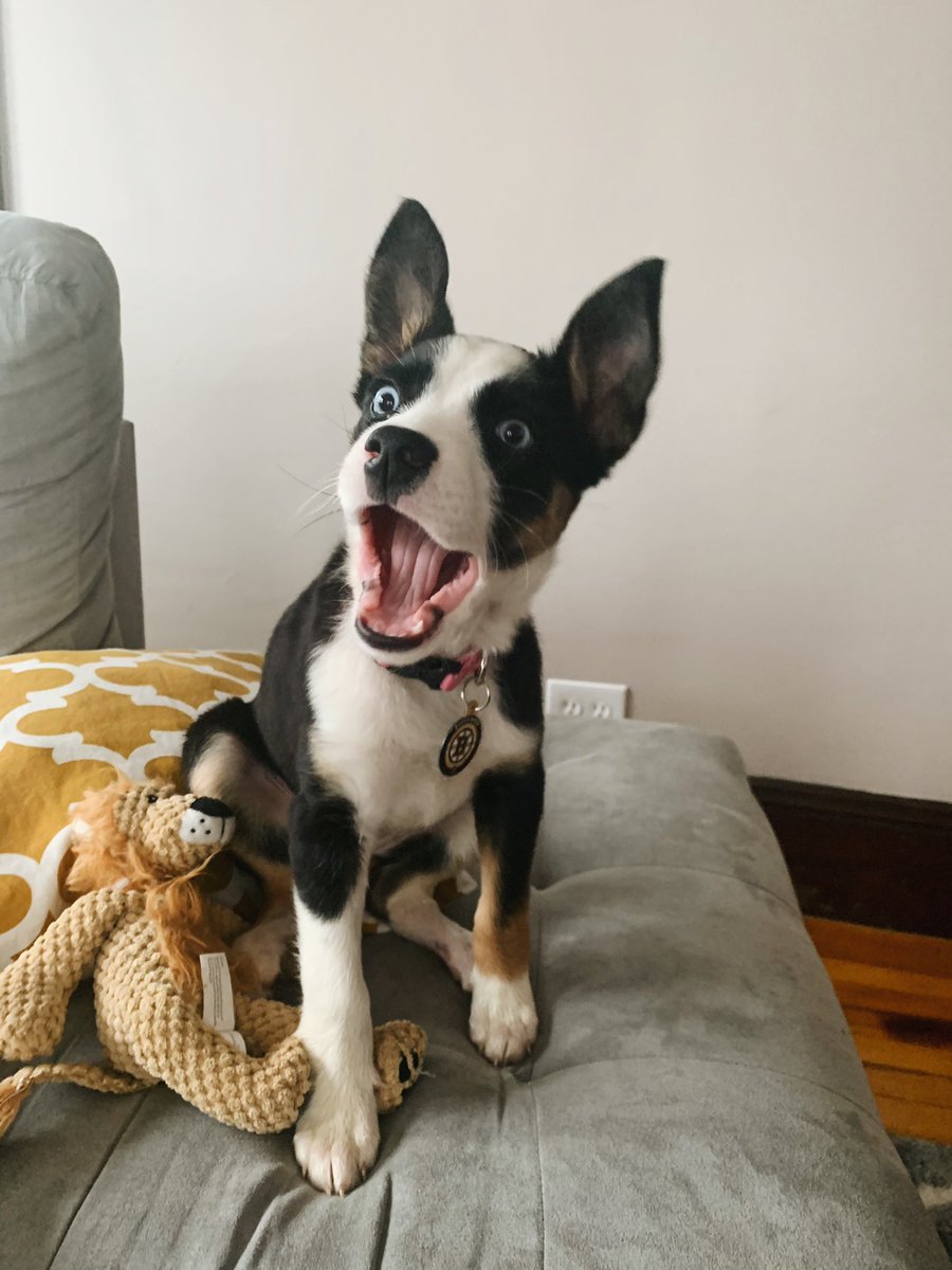 cassrileyphoto's tweet photo. When you find out you’re adopted https://t.co/TReBKrf0HQ