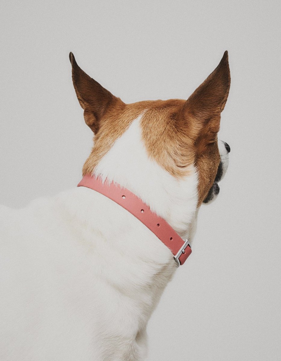 Need Supply Co. tweet media