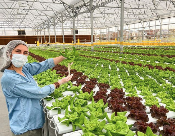 Practicing social distancing AND feeding #Denver. Nice job, Gotham Greens!!! #ResultsAreWhatCount! gothamgreens.com. amhydro.com. #localfarms #localfood @gothamgreens @AmHydro photo: instagram.com/gothamgreens/