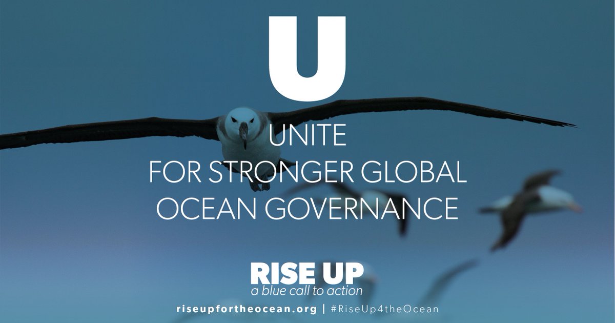 The #ocean’s recovery plan can be summed up through six letters in two words: RISE UP - and over 250 organizations around the world (and counting!) agree. #RiseUp4theOcean & unite for stronger global #OceanGovernance: riseupfortheocean.org @oceanunite