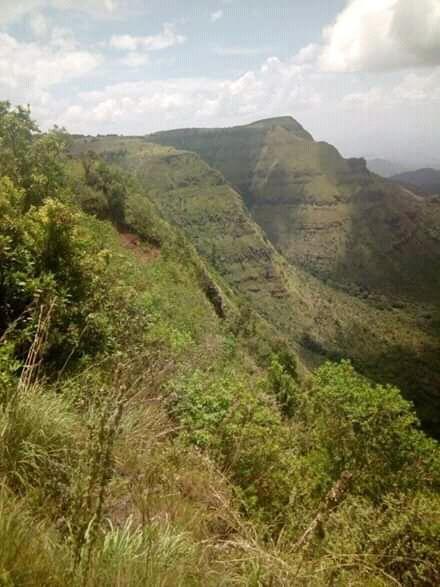 tukwa2's tweet image. #savecongorainforest
#saveAmazonforest
#climatestrike
#climatecrisis
@vanessa_vash 
@GretaThunberg 
Solidarity