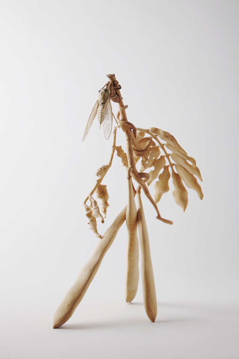 水を注ぐと見事に開花 落語 竹の水仙 に登場する水仙を木彫刻家が本当に作ってしまった Togetter