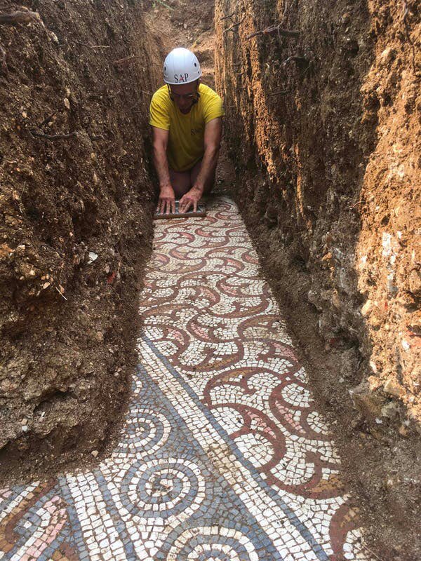 alfonslopeztena's tweet photo. A perfectly preserved ancient Roman mosaic floor has been discovered near the northern Italian city of Verona, almost a century after the remains of a villa, believed to date to the 3rd century CE, were unearthed in the town of Negrar di Valpolicella
https://t.co/YMCqAkjGUn https://t.co/8uqTN3RA4t
