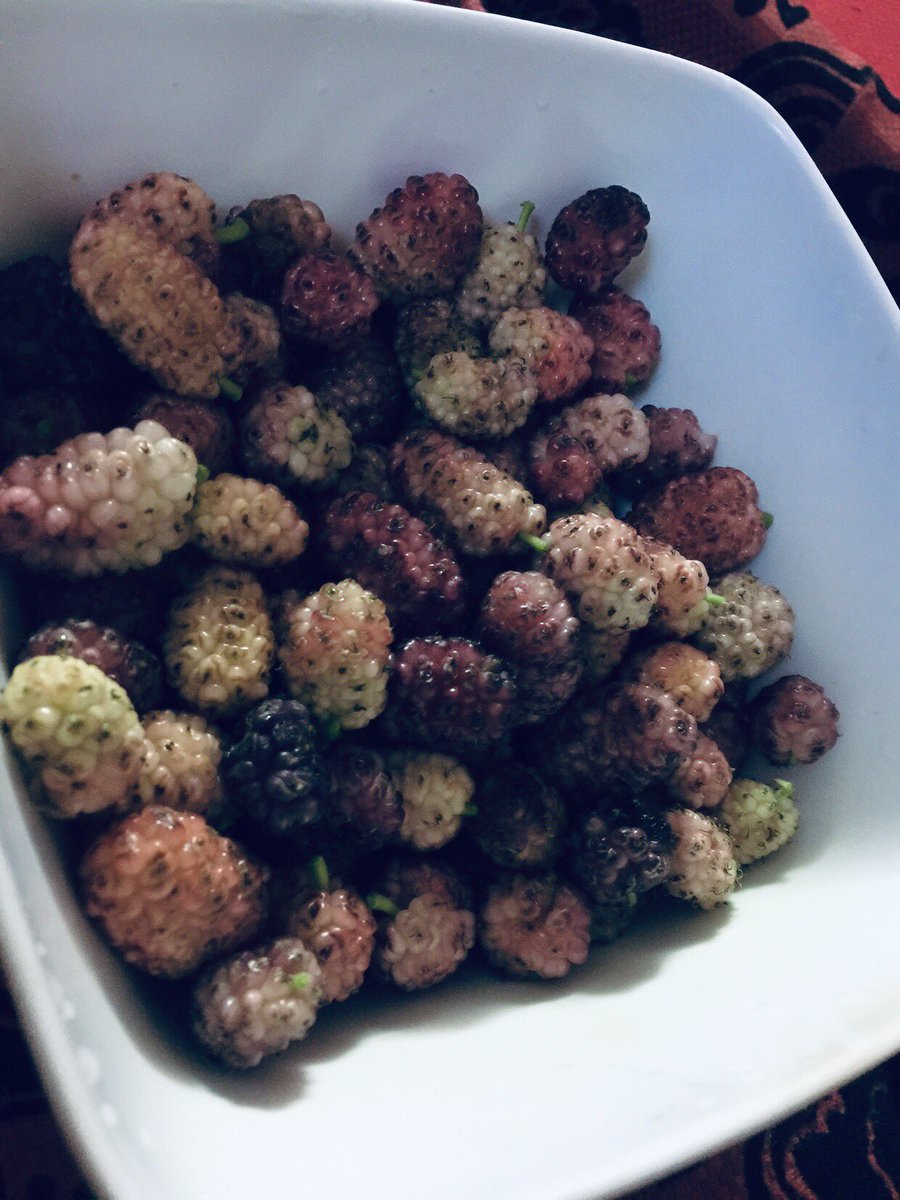 ازكى اشي بالعالم🤤🤤