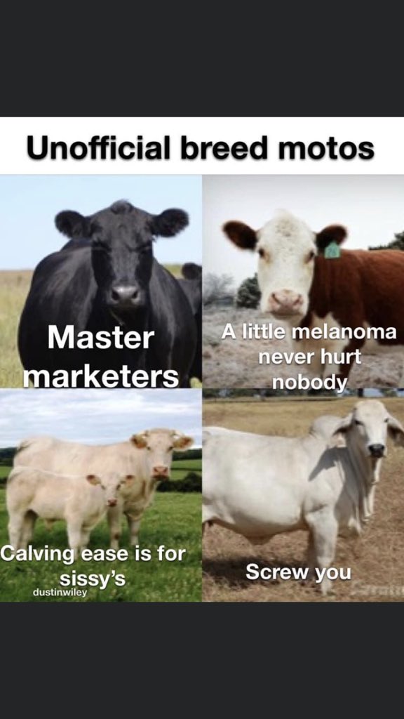 Okay I am dead💀 🤣