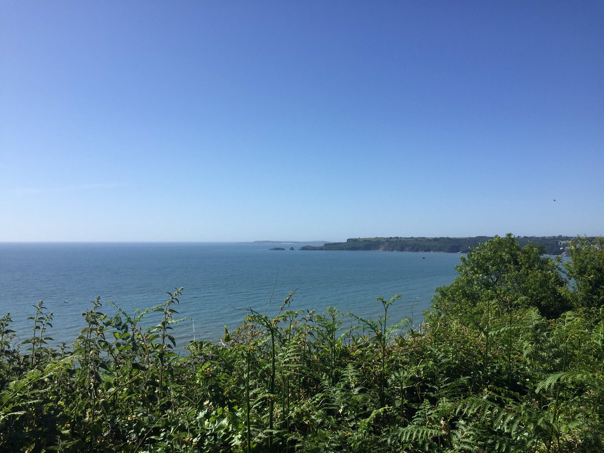 MissHowells2's tweet photo. Lovely walk today! I am so lucky to live around here, especially at this time. 😍 https://t.co/bMWRUJNhuR