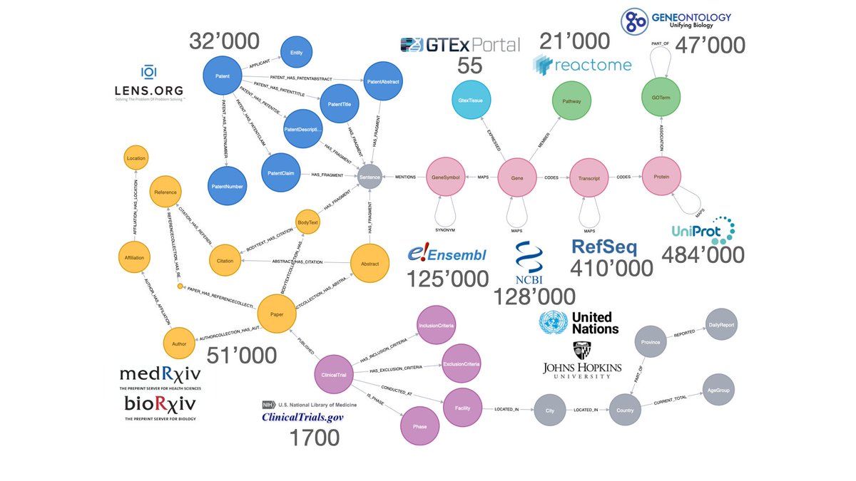 AJarasch's tweet photo. 51'000 pre-print publications, 32'000 patents, 1700 clinical trials, 55 tissues, 128'000 genes, 410'000 transcripts, 484'000 proteins, 47'000 gene functions and 21'000 molecular pathways - 1 AMAZING team - @CovidGraph #neo4j #knowledegraph #graphdatabase https://t.co/OgBuZwitgG