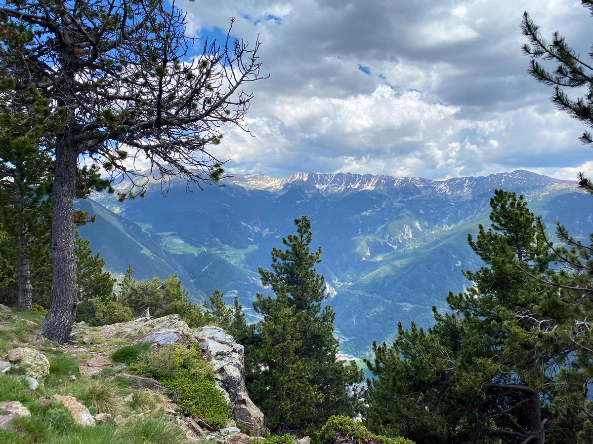 Alves22Nanda's tweet image. #bonydelesneres 🔜 #anyòs 🔜 #escaldes 🔜 vamos al trabajo 😁😁😁 #granjaBenvinguts  pronto!! pronto!! ☕️☕️☕️ #felizviernes