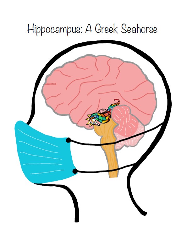 3rd/4th place was close to a tie. One of place 3/4 was "Hippocampus: A Greek Seahorse", a digital drawing by undergrad researcher Sakthi Senthilvelan which mixes a nod to our new masking habits and a multicolored seahorse overlay on the human brain.