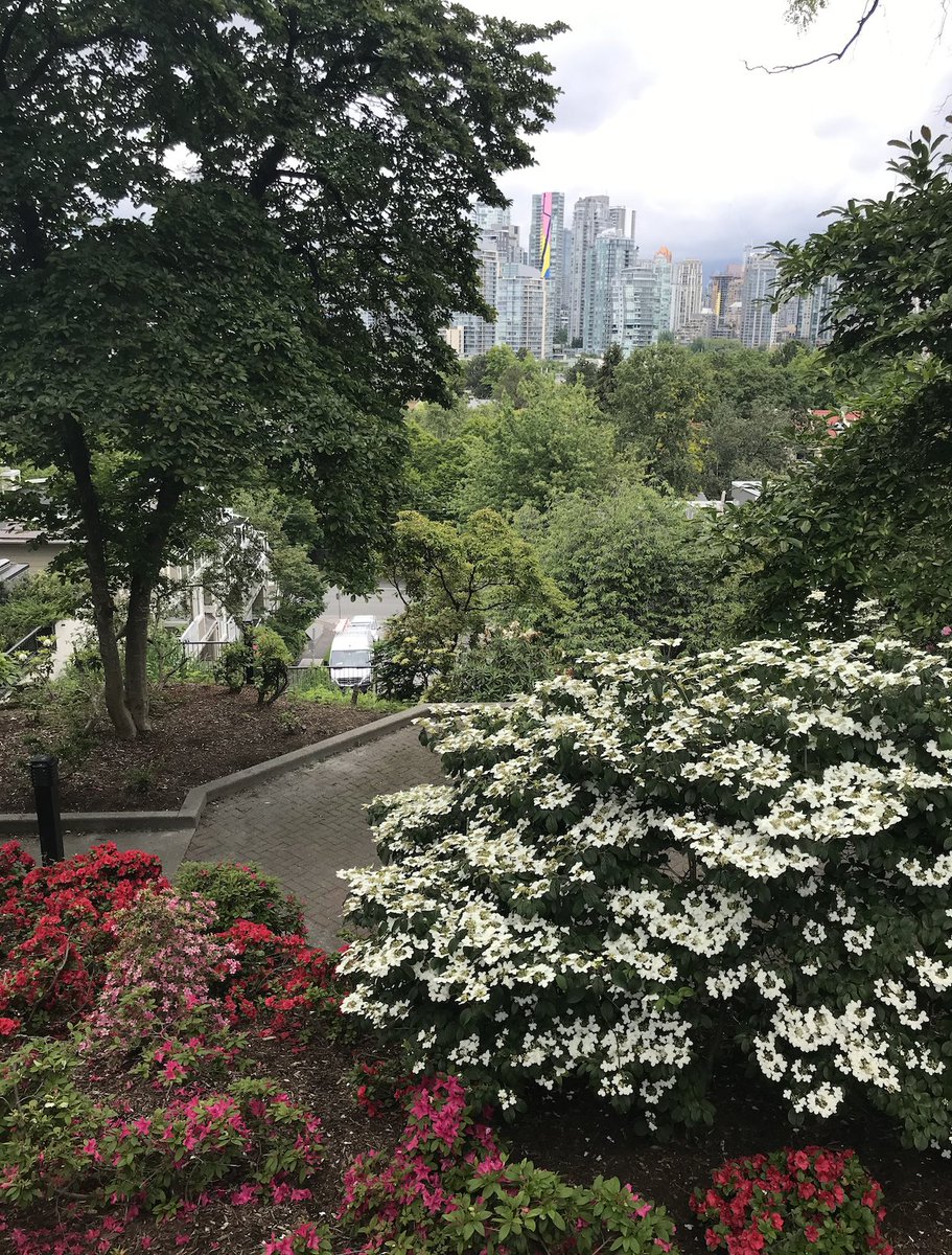 9. CHOKLIT PARK- You know that lookout along 7th Avenue with the pretty flowers? It's actually a park!- A two-level brutalist flower park- A park where half of has seriously accessibility issues- A park that's good to sit see the view and not much else- fun name tho