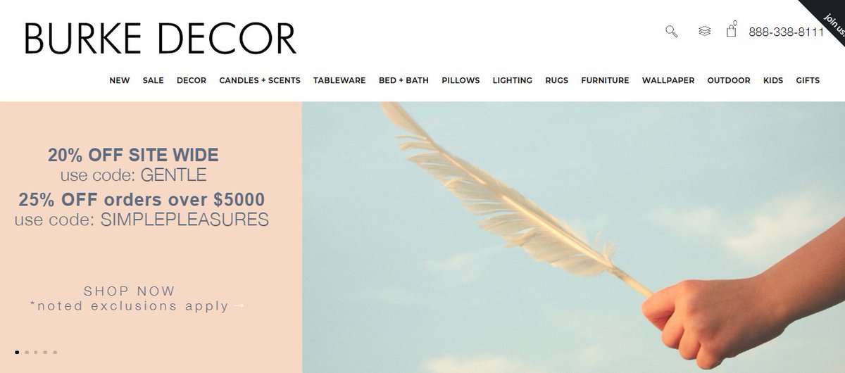 Burke Decor Promo Code