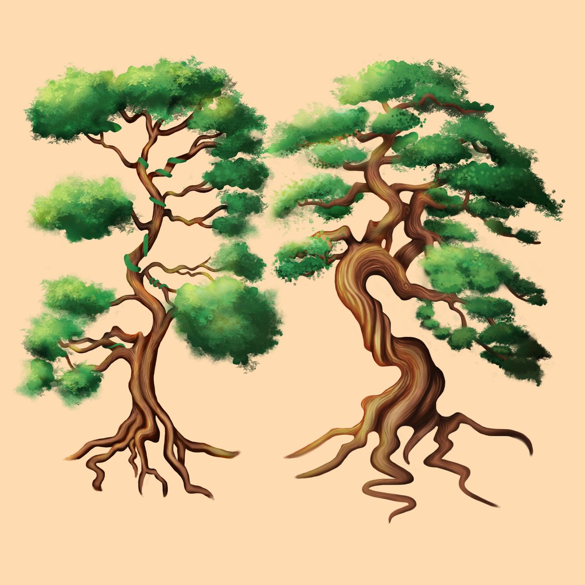 maya_motion's tweet image. Tree Studies Process #artstudies #nature #treedesign #photoshop