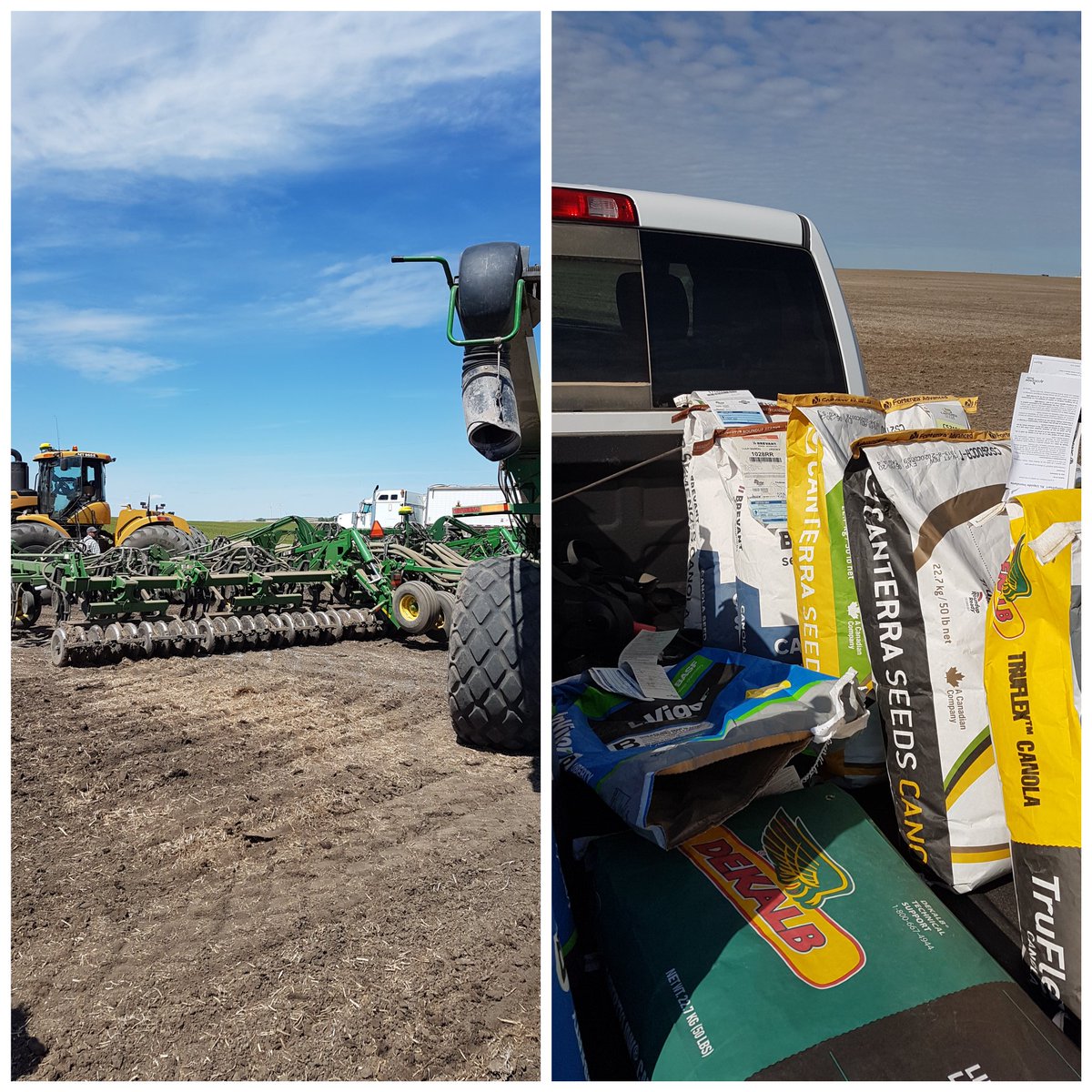 Another canola plot in the ground today @canterraseeds thanks to Wintering Hills colony and @UFAcooperative #plant20