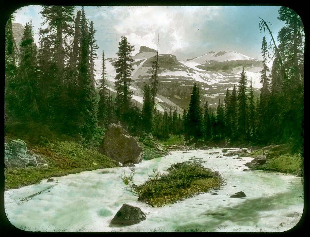 whytemuseum's tweet photo. (1/2) Day 25 of the #MuseumAlphabet challenge is Y for…Yoho! Yoho National Park was established in 1886. Yoho is one of seven parks in the Rocky Mountains that make up the Canadian Rocky Mountains UNESCO World Heritage site. 

#MuseumsFromHome #WhyteAtHome https://t.co/53KPBWmACe