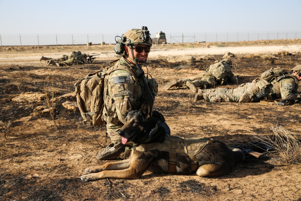 INDOPACOM's tweet image. Soldiers of the @1SBCT_25ID @25thID #ArcticWolves’ practice a live-fire exercise at Al Asad Air Base, Iraq. The exercise establishes teamwork between the military working dogs and their handlers. #Readiness #Goodboy #Lethality #FreeandOpenIndoPacific.