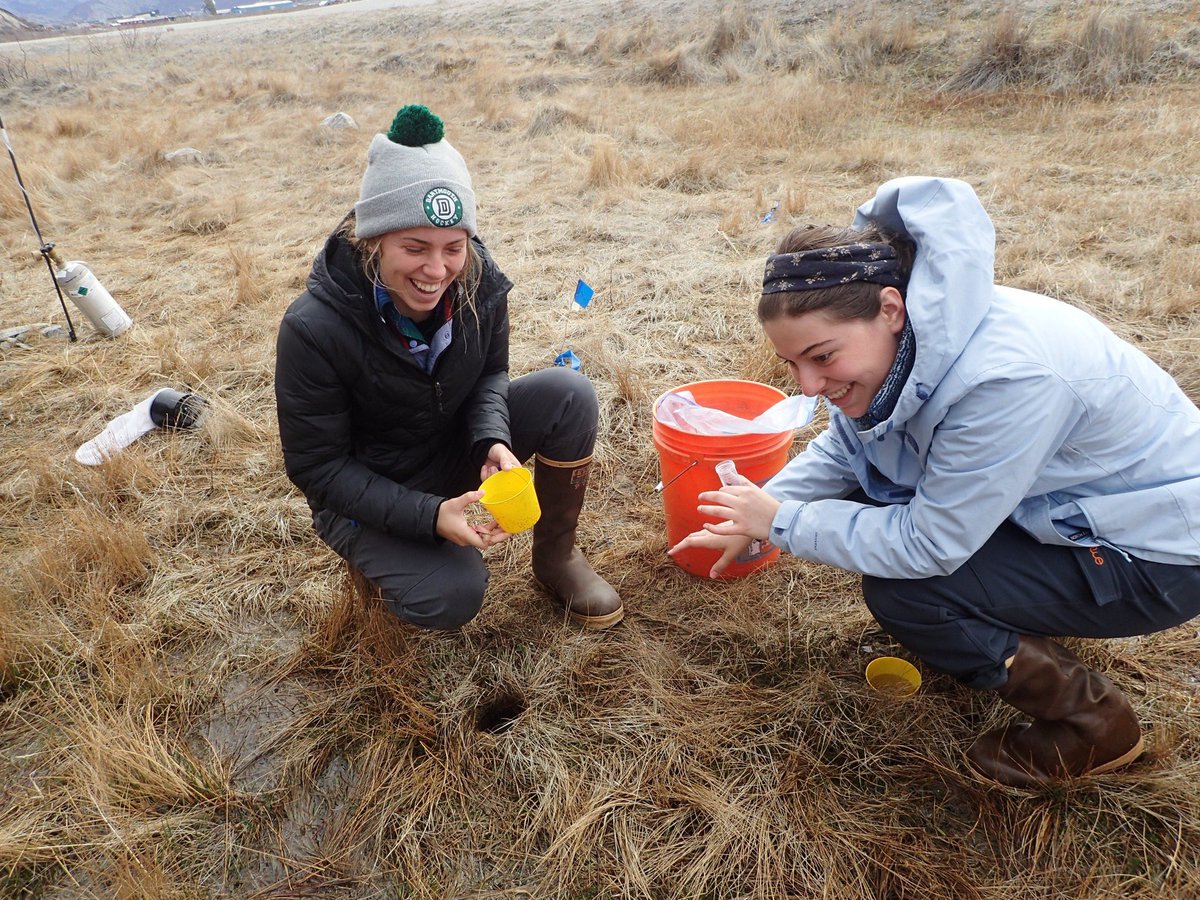 Had a blast presenting my thesis today! 🕷 Thanks to all who made it possible <a href="/leculler/">Dr. Lauren E. Culler</a> <a href="/RVirginiaPolar/">Ross A Virginia</a> <a href="/MattAyres3/">Matt Ayres</a> <a href="/mdesiervo1031/">Melissa DeSiervo</a> <a href="/bigsten15/">Alex Stendahl</a>