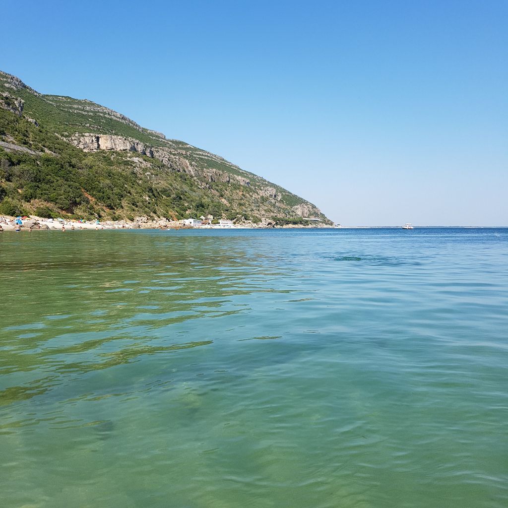 PlasDECK's tweet image. Summer is just a couple of days away and we're already seeing more people using their boats. Make sure yours is ready, and remember, if you're going to the beach, stay safe! 😎
#summerboating #summerboat #summer2020 #beachweekend #boatlifestyle #boaterslife #InThisTogetherOhio