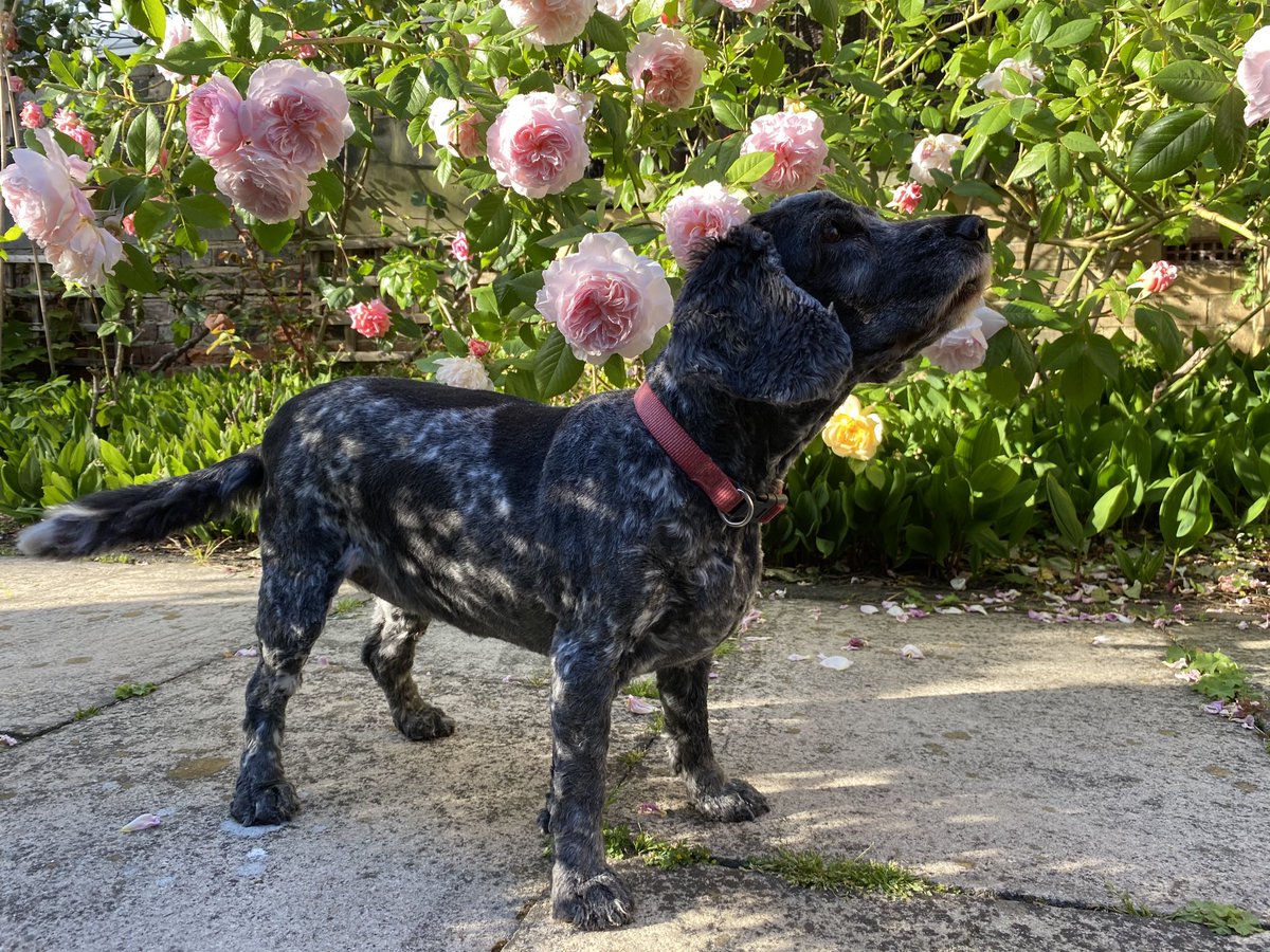 Jeremy Walker tweet media