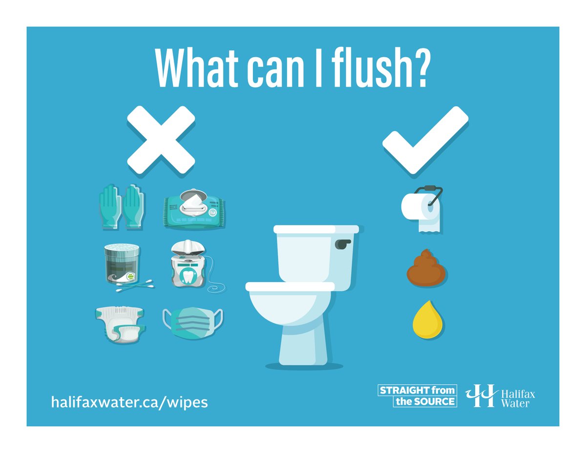 BacktotheSea_NS's tweet photo. Great info on what you can, and can't flush! Consider using a reusable, cloth mask to minimize you waste 🙌 https://t.co/33NDXAv4Cz