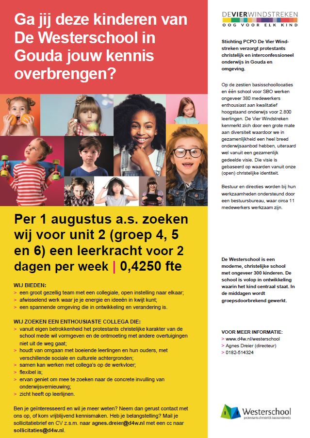 Sla je slag en reageer op één van onze uitdagende vacatures!