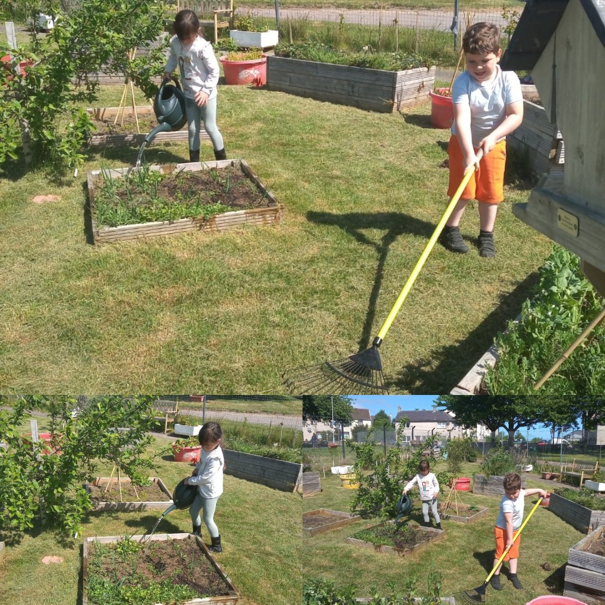 HubSeafield's tweet photo. Lovely pictures of lots of activities today at the hub. Thank you very much to all the hardworking staff this week in the hub, it has been another successful week. Have a wonderful weekend everyone. https://t.co/ken2spXyT5