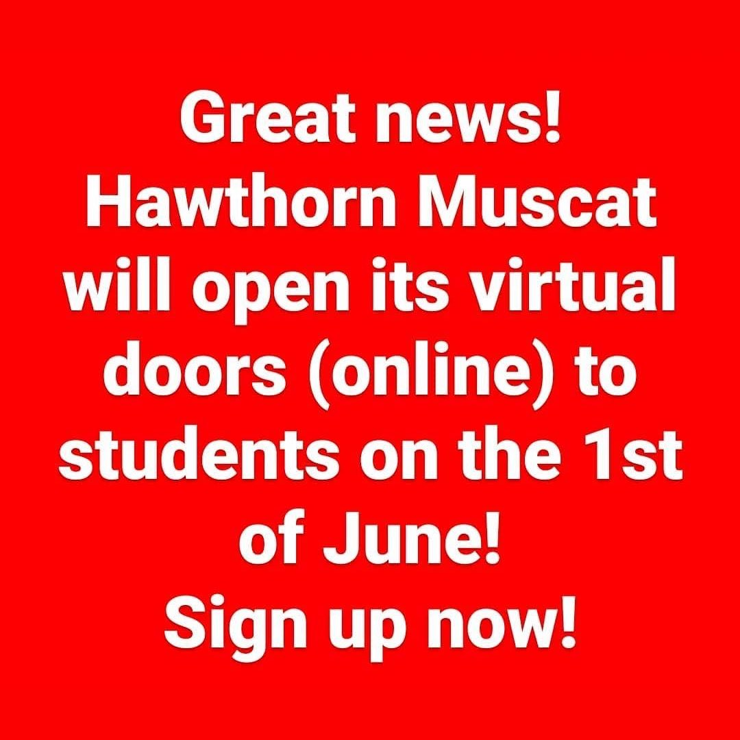 hawthorn_muscat's tweet photo. https://t.co/KpX7UeZ9ae