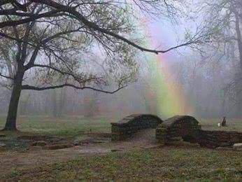 Pea KnownAs-Pea tweet media