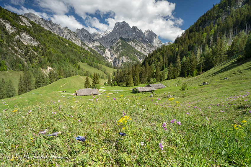 RosaFuermann's tweet photo. Das Klausbachtal im Nationalpark Berchtesgaden mit der Bindalm…

https://t.co/psXbjflj8S

#Bayern #Nationalpark #Berchtesgaden #Klausbachtal #Bindalm #Enzian #Knabenkraut #Alpen #Hängebrücke #Wildbach https://t.co/Bn37dTUhMb