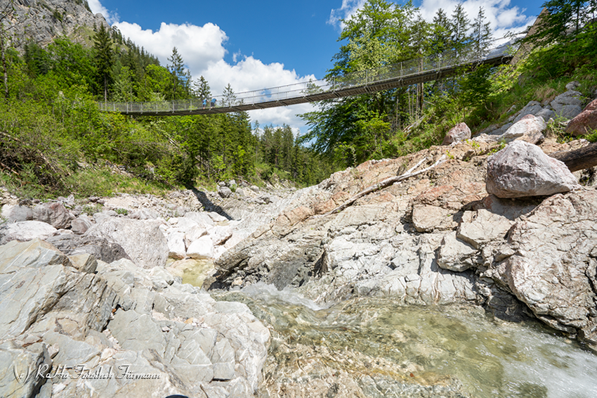 RosaFuermann's tweet photo. Das Klausbachtal im Nationalpark Berchtesgaden mit der Bindalm…

https://t.co/psXbjflj8S

#Bayern #Nationalpark #Berchtesgaden #Klausbachtal #Bindalm #Enzian #Knabenkraut #Alpen #Hängebrücke #Wildbach https://t.co/Bn37dTUhMb