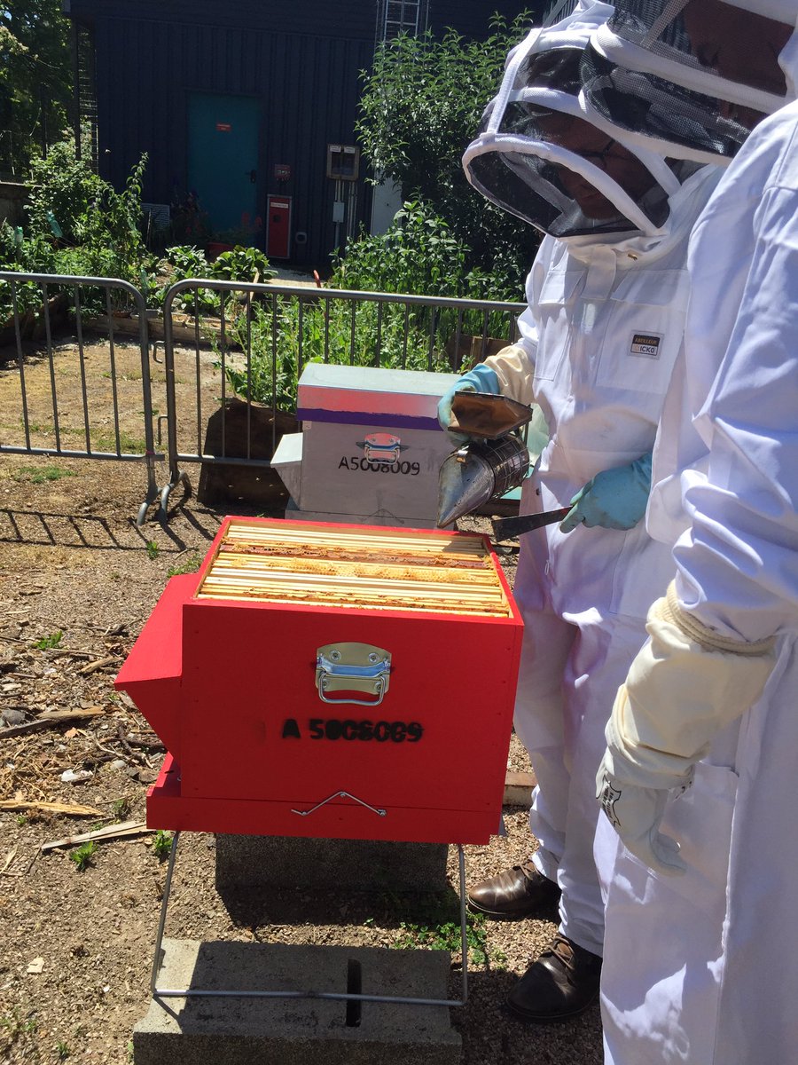 LyceeMezeray61's tweet photo. Le lycée Mézeray-Gabriel abrite désormais de nouvelles pensionnaires 🐝🐝🐝. De beaux projets en perspective ! @dsden61 @ac_normandie @SepLpo #ecolycee #E3D #biodiversite #abeilles https://t.co/a6cl5uOIlM