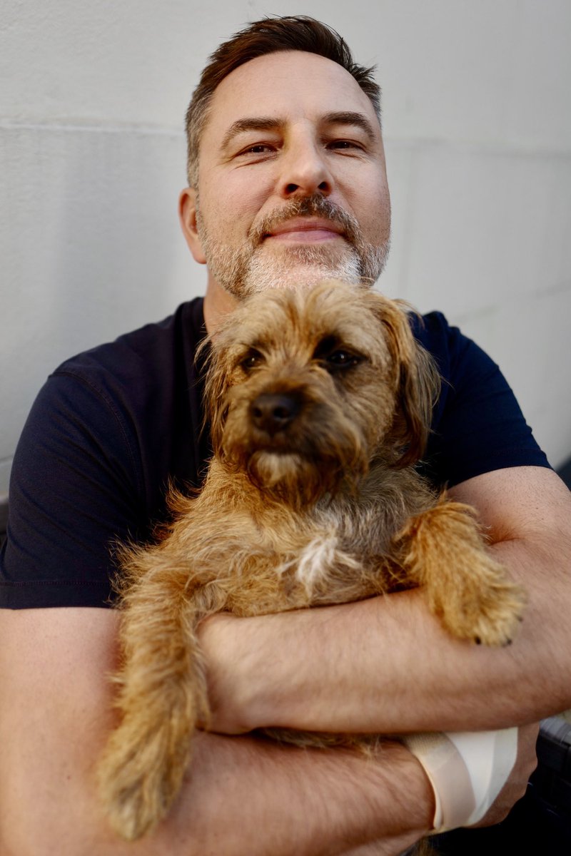 David Walliams HQ tweet media