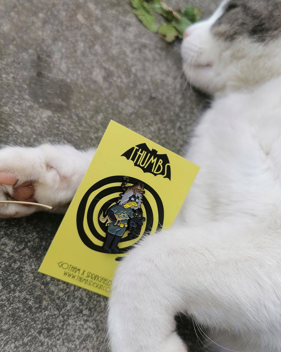 GamingAnthology's tweet photo. Crazy Cat Woman.
(From Thumbs design.)
Enjoy your gaming and your weekend 🎮.
#featurefriday #crazycatlady #catwoman #gotham #enamelpins #enamelbadge #enamelpin #pins #badges #pin #thumbsdesign #springfield #thesimpsons #batman #geekpets #geekcat #geek #simpsons https://t.co/ubrlmi2zLI