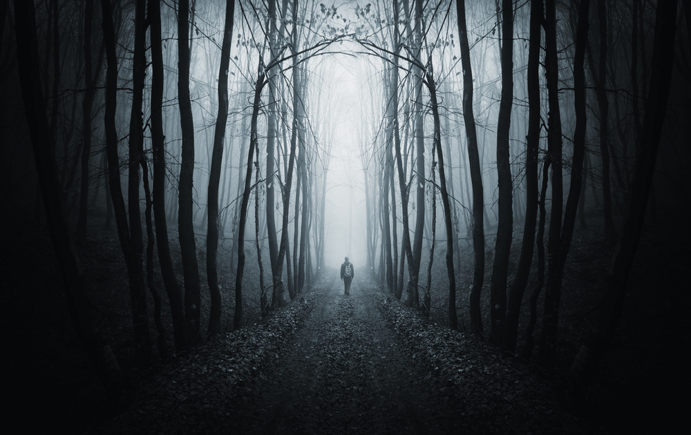 pdware's tweet image. Scary Planning Stories to Keep You Up at Night!
ow.ly/1lur30qJd1s
#ResourcePlanning #ResourcePlanningSoftware #PMO #PMOT