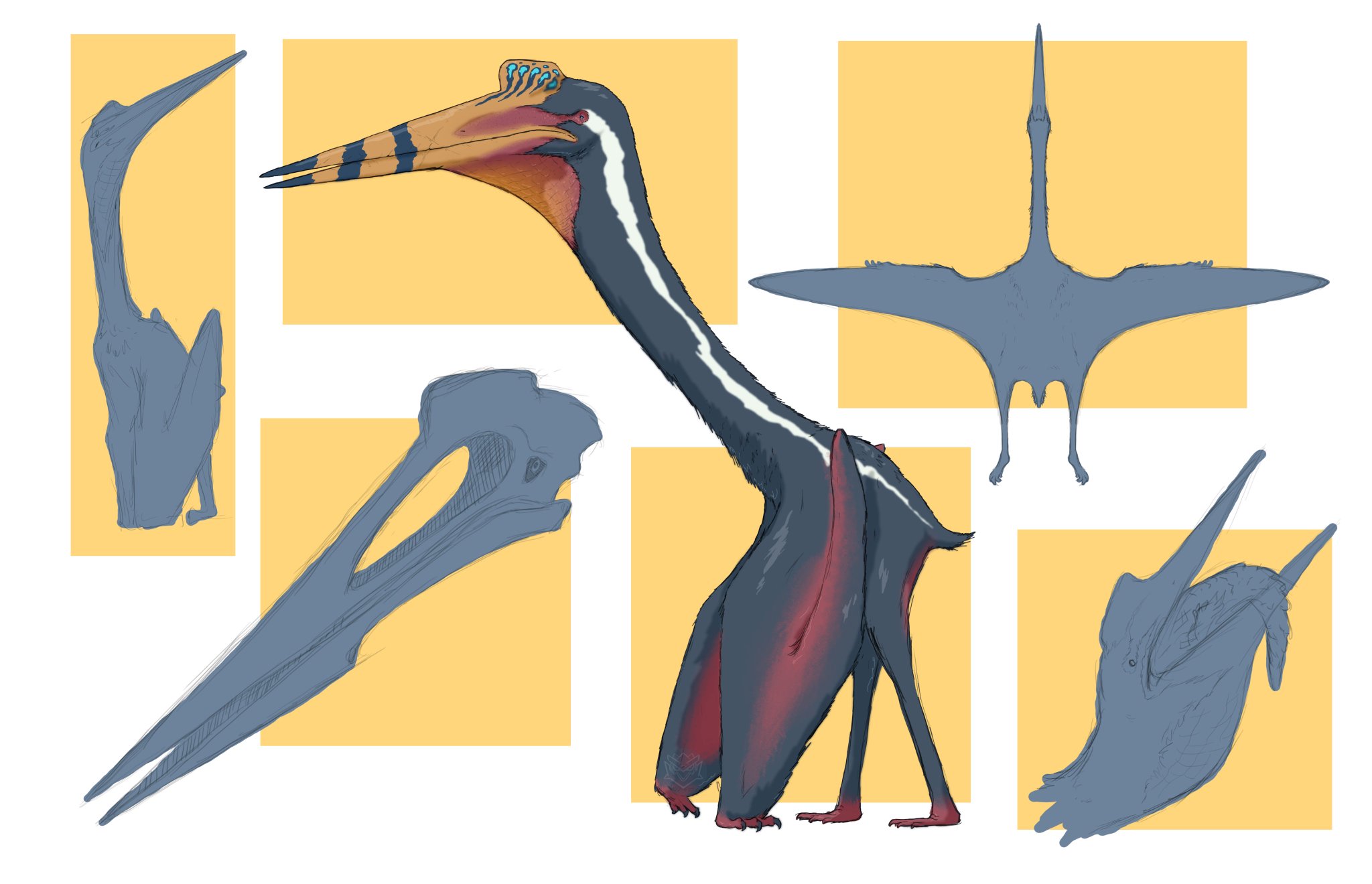 #Quetzalcoatlus #azhdarchid #pterosaur” .