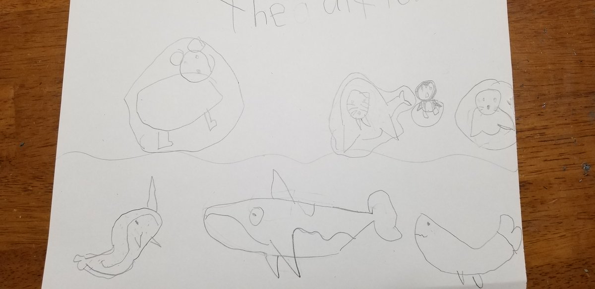 MrsZafft's tweet photo. The class had fun on the virtual field trips today.  I think I'd go to the ocean with these kids.  Proud of the whole class for doing such hard work this whole time!  We were persistent! Happy Summer!! https://t.co/wOsWQdo95g