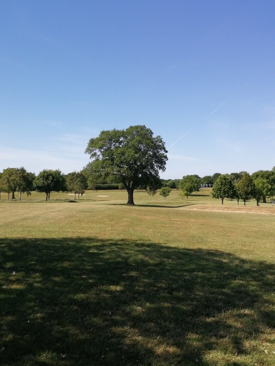 lhill_11's tweet photo. Great to get back out at @MorleyHayes this afternoon, Tower course looking immaculate 👌 finished +4 after 9, including a 15ft putt to make birdie on the last ⛳🏌️ #golfing #birdie #superbweather https://t.co/gbMIvrb44F