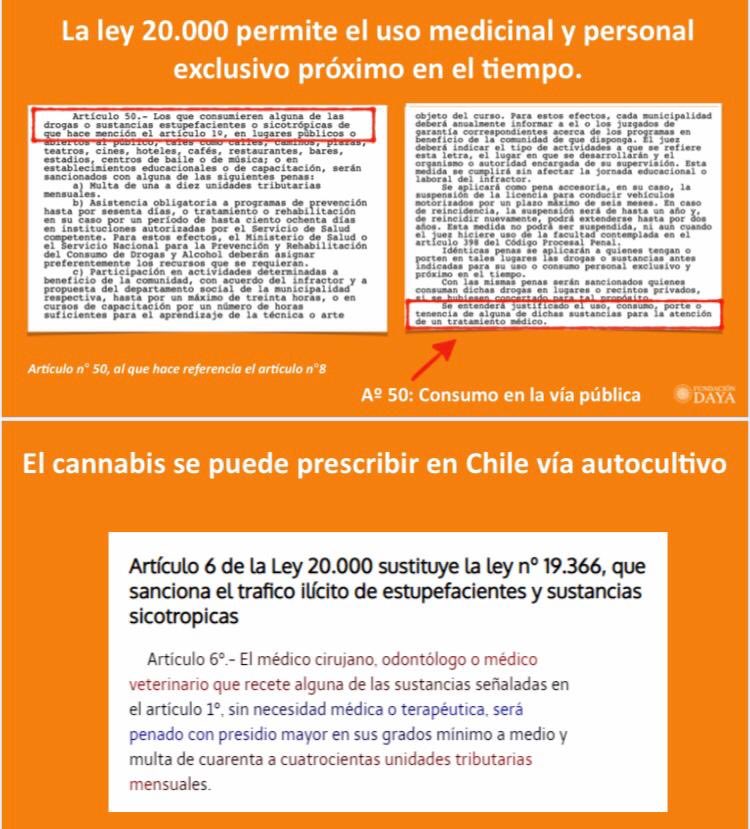 FundacionDaya's tweet photo. Y sigue la vulneración de derechos de usuarios medicinales en Chile ! Jemima Vargas, La Serena, fue “visitada” por carabineros, quienes le incautaron su planta, generando grave crisis frente a sus hijos pequeños. Gracias @DPP_CL por su pronto apoyo.#LeyCultivoSeguro https://t.co/JMAjeFdY6K
