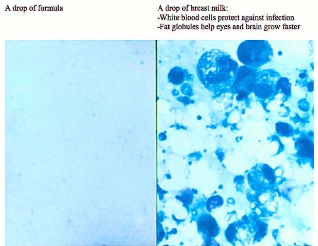 جمعية الرضاعة الطبيعية tweet media