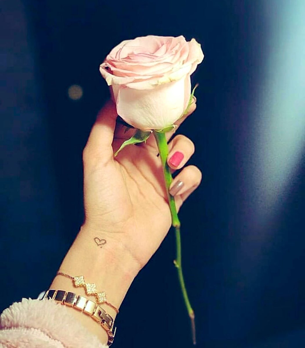 Rossee_2's tweet photo. 𝗠𝘆 𝗱𝗿𝗲𝗮𝗺 𝗶𝘀 𝘀𝘄𝗲𝗲𝘁 𝗮𝘀 𝗮 𝗿𝗼𝘀𝗲....♡︎ https://t.co/dfdzOUqnGP