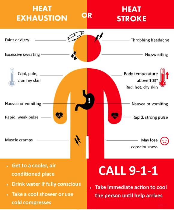 NWSVegas's tweet photo. We are now in the hottest part of the day (11AM-5PM). If you are heading outdoors please take steps to prevent heat illnesses:
💧 Bring extra water
🩳 Wear light clothes
🌳Take breaks in the shade
🤒 Know the signs of heat illness
#vwx #azwx #cawx #LasVegas #VegasWeather https://t.co/Qq3aFc66Ez